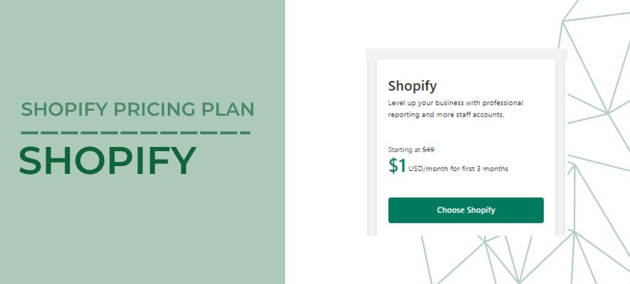 shopify-pricing-plan-shopify