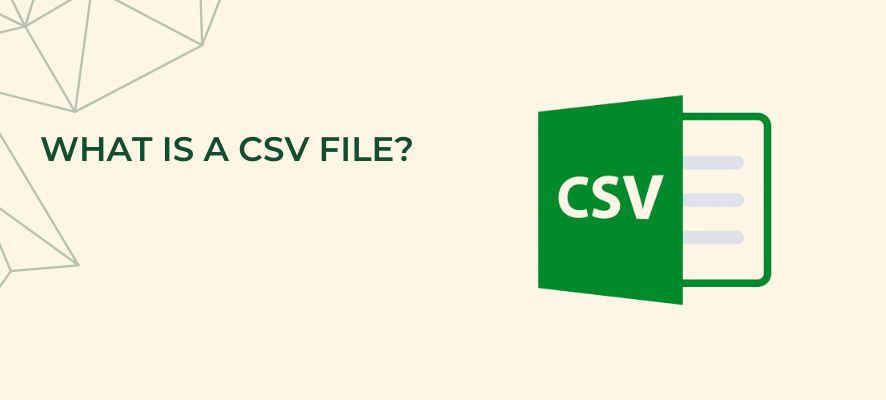 what-is-a-csv-file-on-shopify