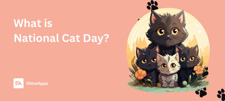 what-is-national-cat-day