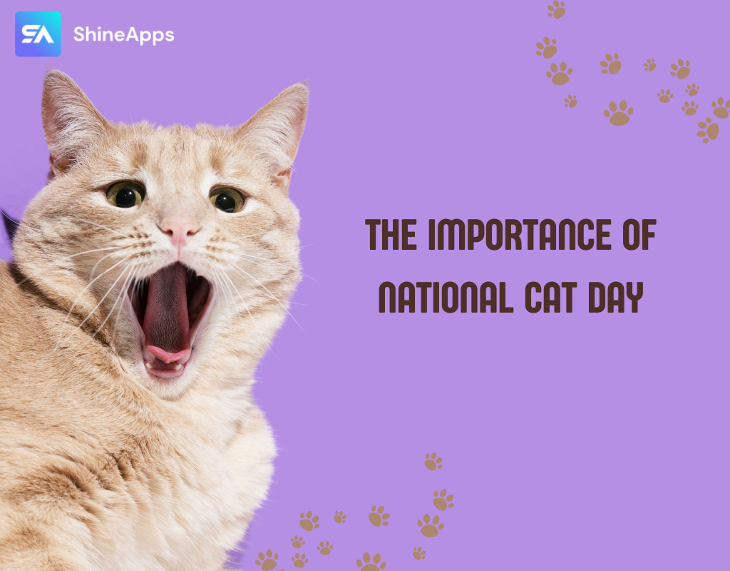The Importance Of National Cat Day